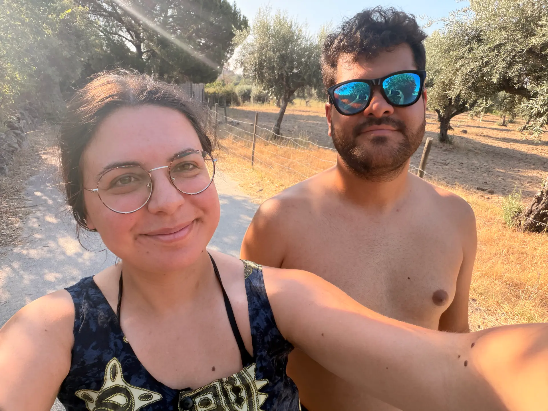 Verão entre oliveiras, em Portugal.