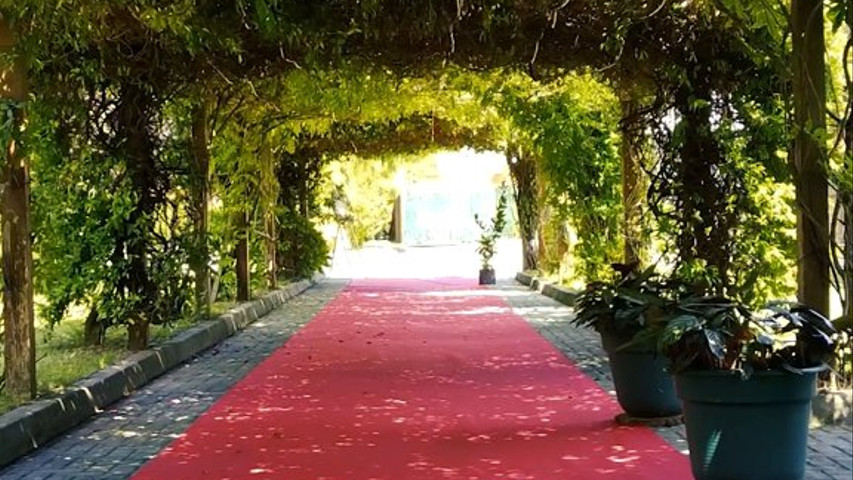 Passadeira vermelha num túnel de sebe verde na Quinta da Valinha